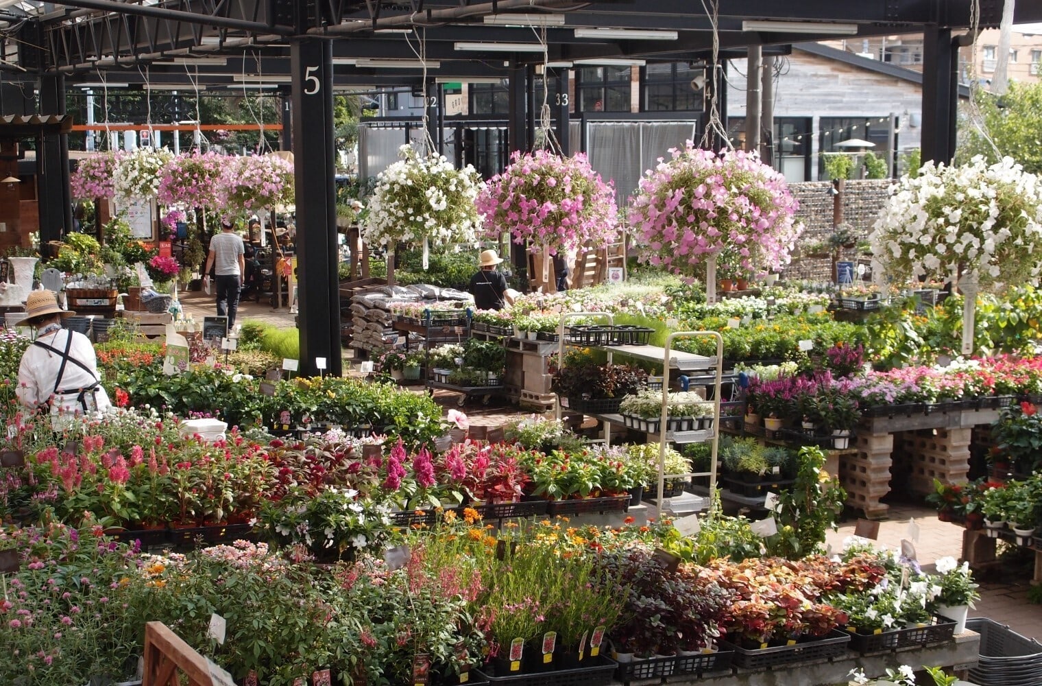 『オザキフラワーパーク』1階植木場には、花苗から、貴重な植物まで、ありとあらゆる植物が揃い、「買える植物園」とも称されています。