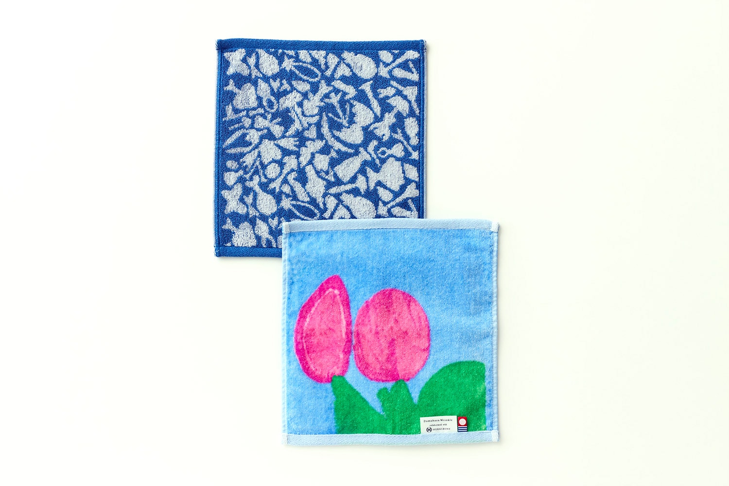 �n���J�`�̎ʐ^