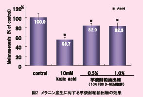 メラニンに対する芋焼酎粕抽出物の効果グラフ
