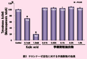 チロシナーゼの活性に対する芋焼酎粕抽出物の効果グラフ