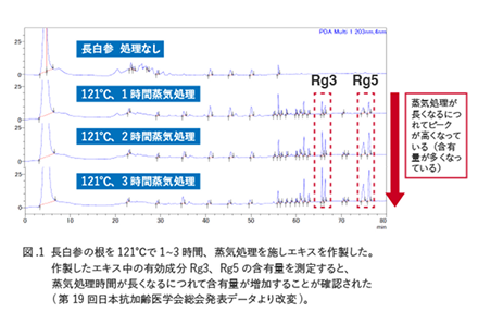 Rg3�ERg5����O���t