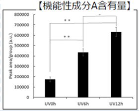 機能性成分A含有量グラフ