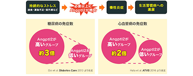 Angptl2の糖尿病の発症数と心血管病新規発症数