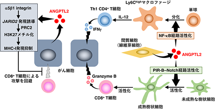 がん転移イメージ