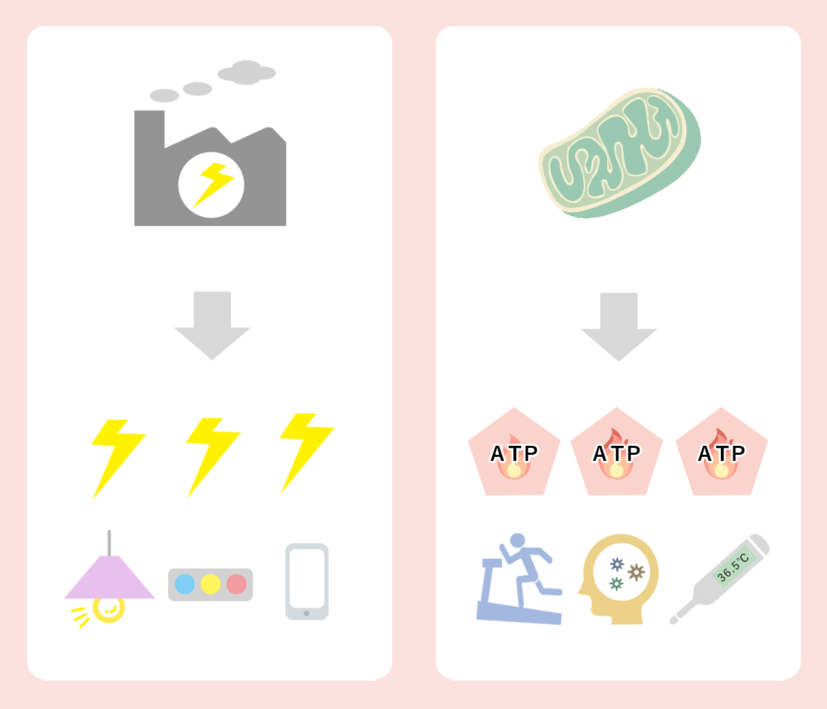 ミトコンドリアのATP産生イメージ