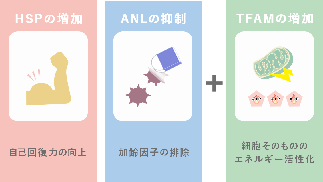 進化した再春館製薬所の自己回復力の原則イメージ
