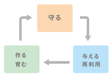 コラーゲンサイクル