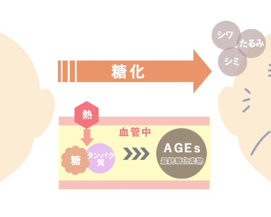 糖化による変性イメージ