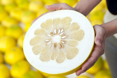 晩白柚(バンペイユ)