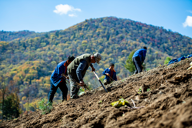 中国吉林省長白山脈