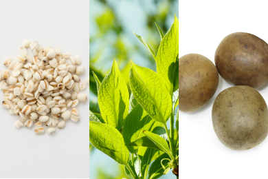 ハトムギ トチュウ ラカンカ