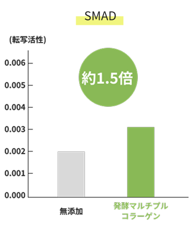 発酵マルチプルコラーゲンの転写活性比較グラフ