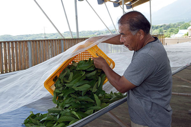 �O�A�o���Y��