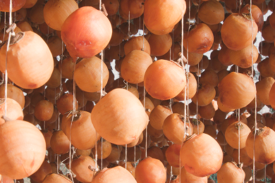 蜂屋柿の干し柿