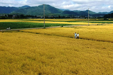 兵庫県篠山市の井関農園