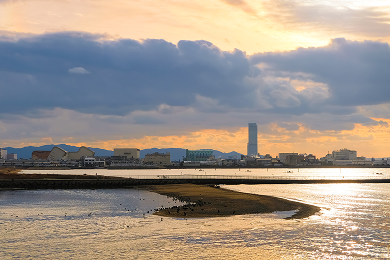 泉州地域 貝塚市