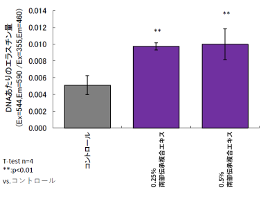 エラスチン合成亢進グラフ