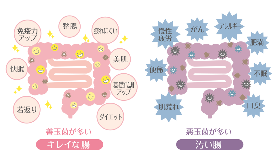 �P�ʋۂƈ��ʋ�