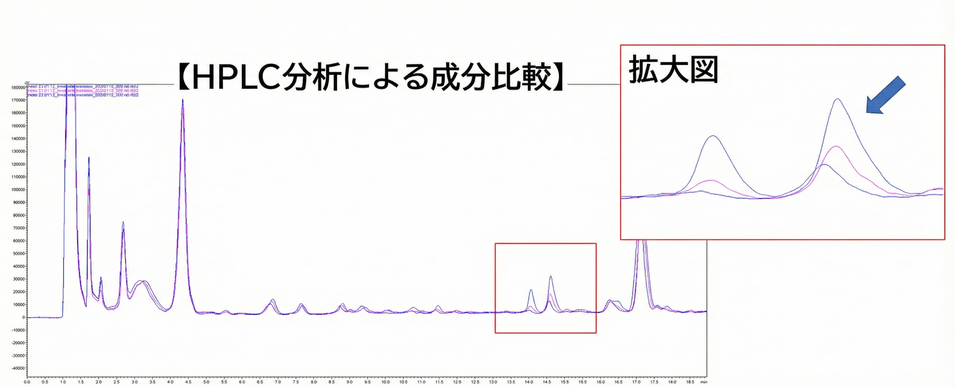 HPLC分析による成分比較