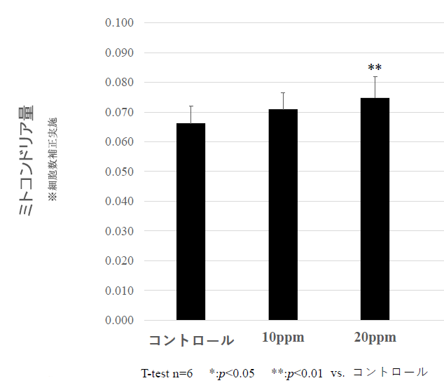 �~�g�R���h���A�ʁiMitoTracker�j�ω��O���t