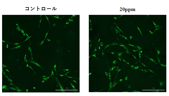 �u�����F�摜