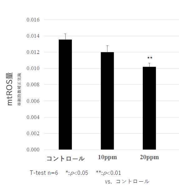 �����_�f�imtROS�j�}���O���t