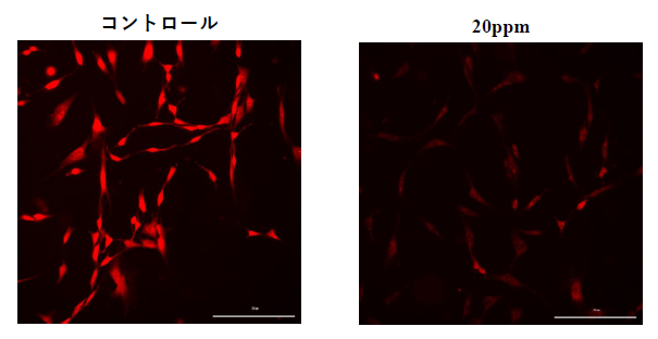�u�����F�摜