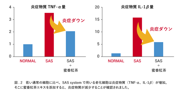 SAS systemŖg]Ot