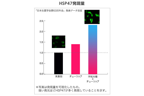 HSP47ʃOt