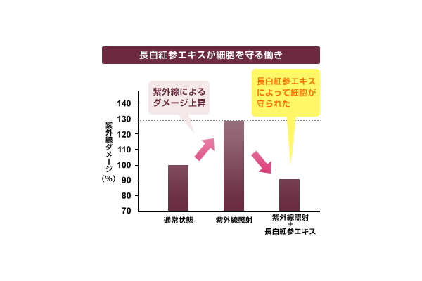 זE铭̃Ot