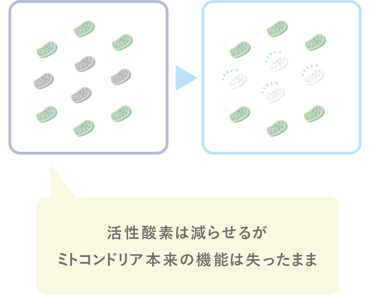 �Â��~�g�R���h���A�̕����𑣐i�C���[�W