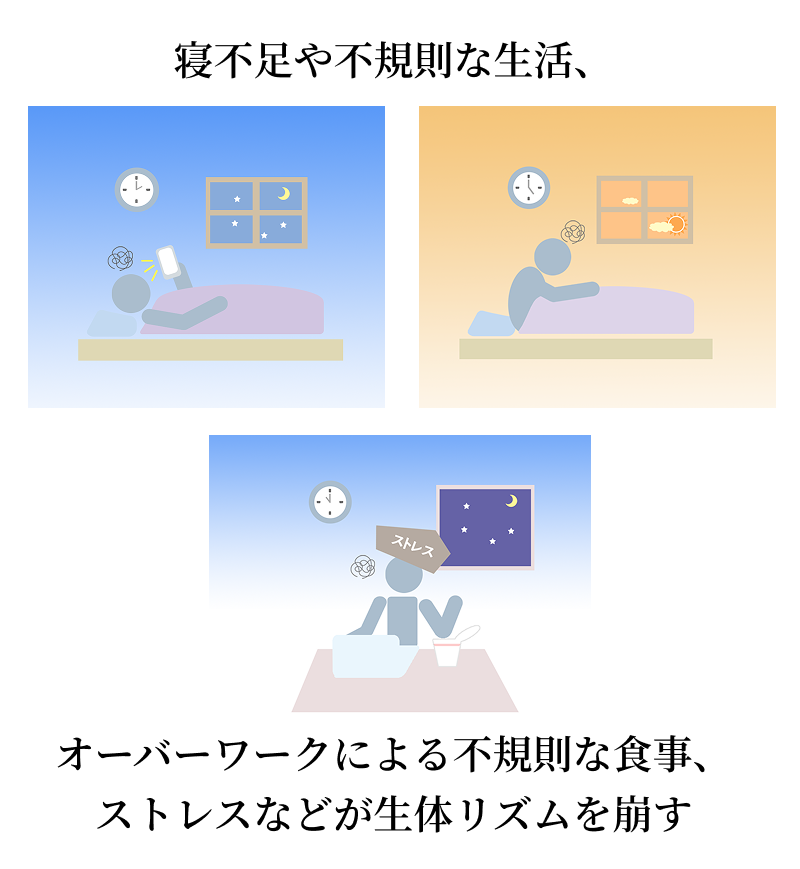 ���̃��Y���������v���C���[�W