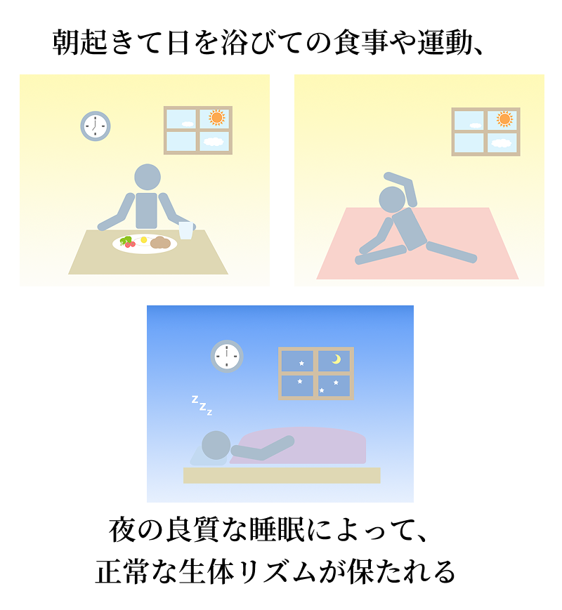 ����ȃ��Y���C���[�W