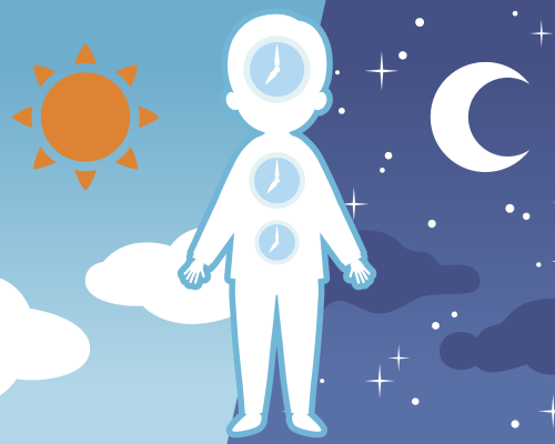 ���̃��Y�� �C���[�W