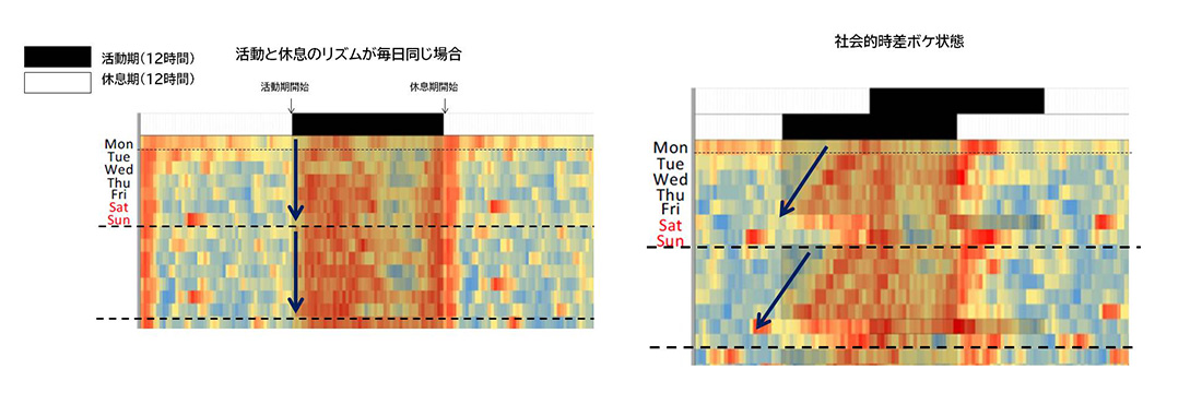 �K���������������ƎЉ�I�����{�P���̐[���̉��̃��Y��