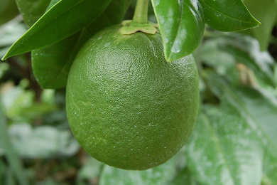 ���E�ݔӔ��M