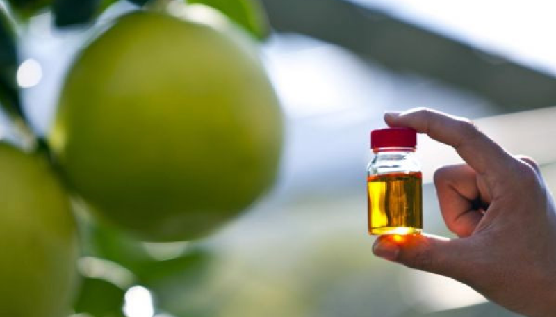 ���E�ݔӔ��M�C���[�W