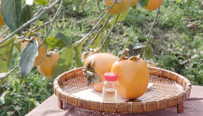 �I���`�C���[�W