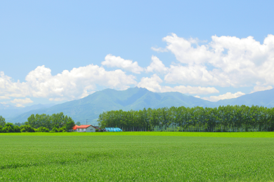 北海道