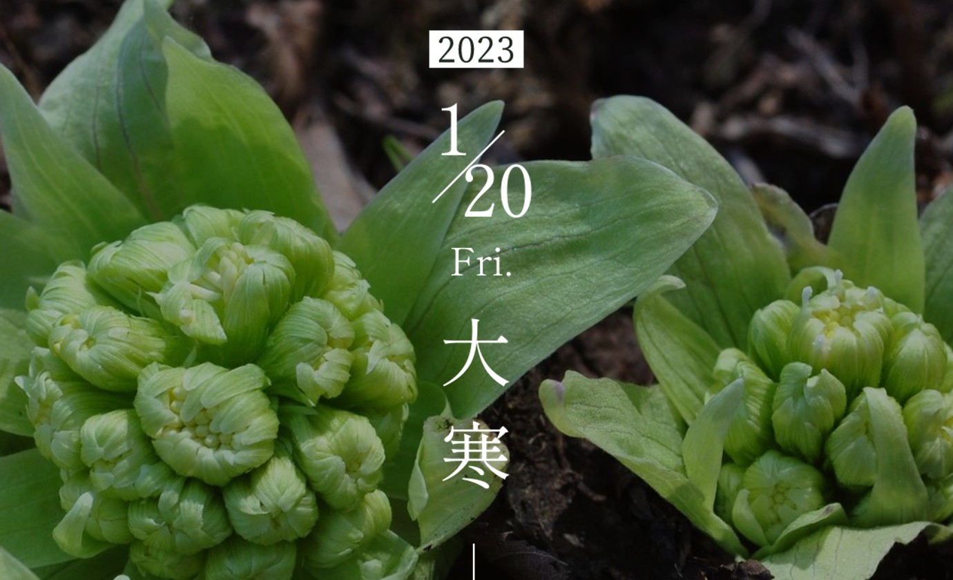 1月20日【大寒】