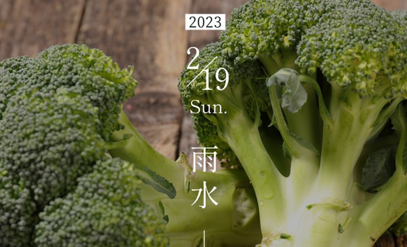 2月19日【雨水】