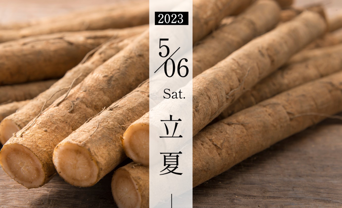 5月6日【立夏】