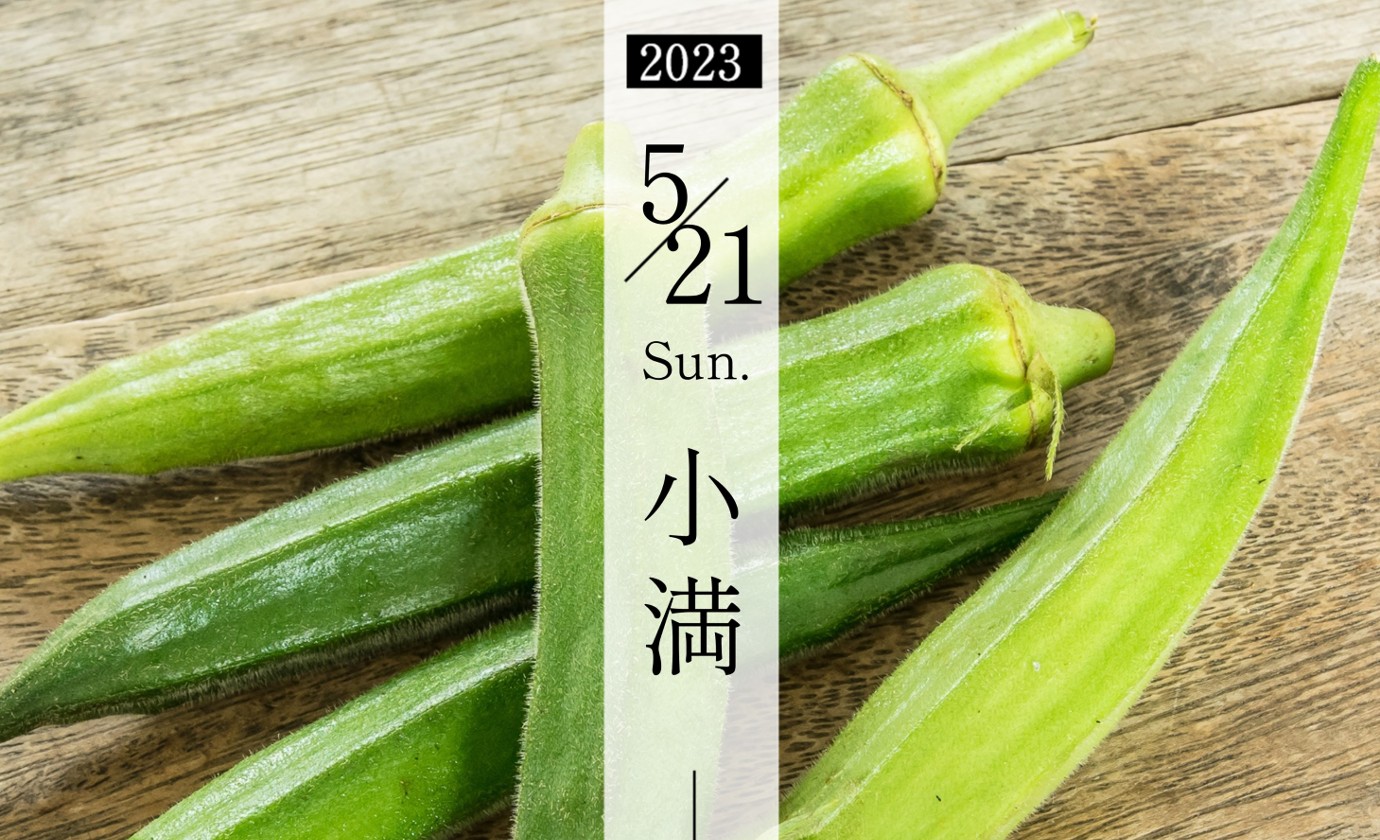 5月21日【小満】
