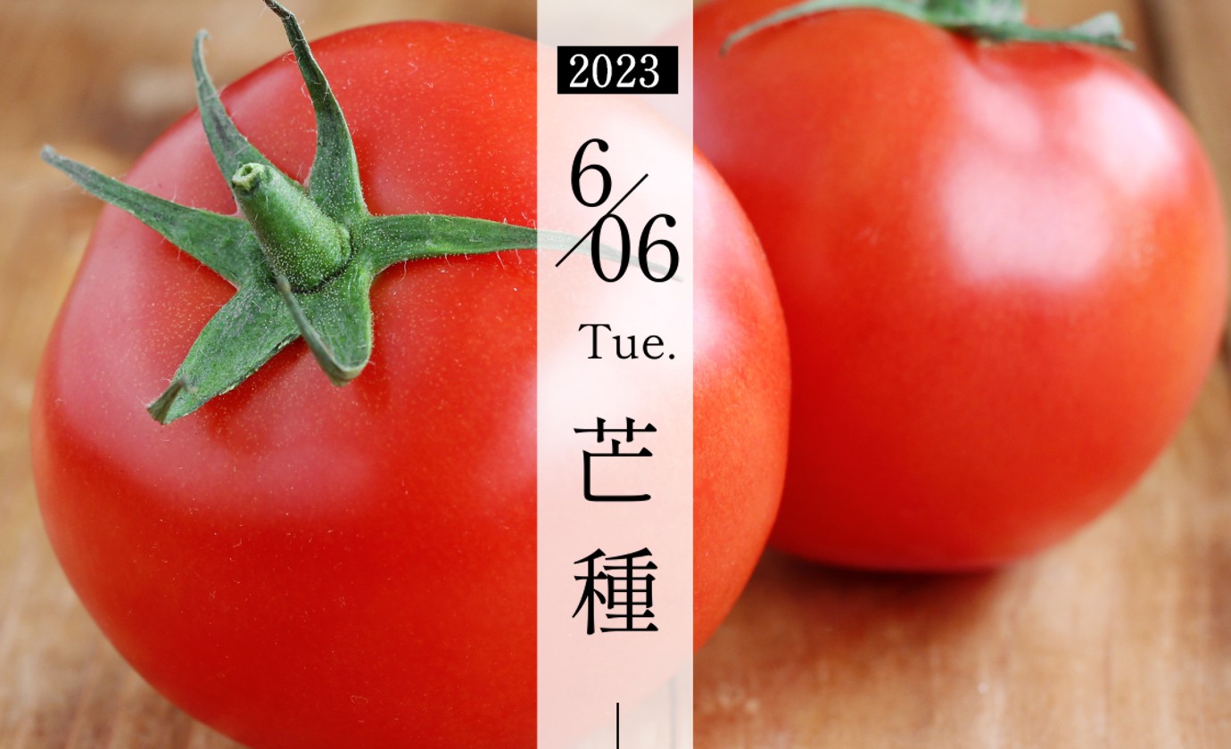 6月6日【芒種】