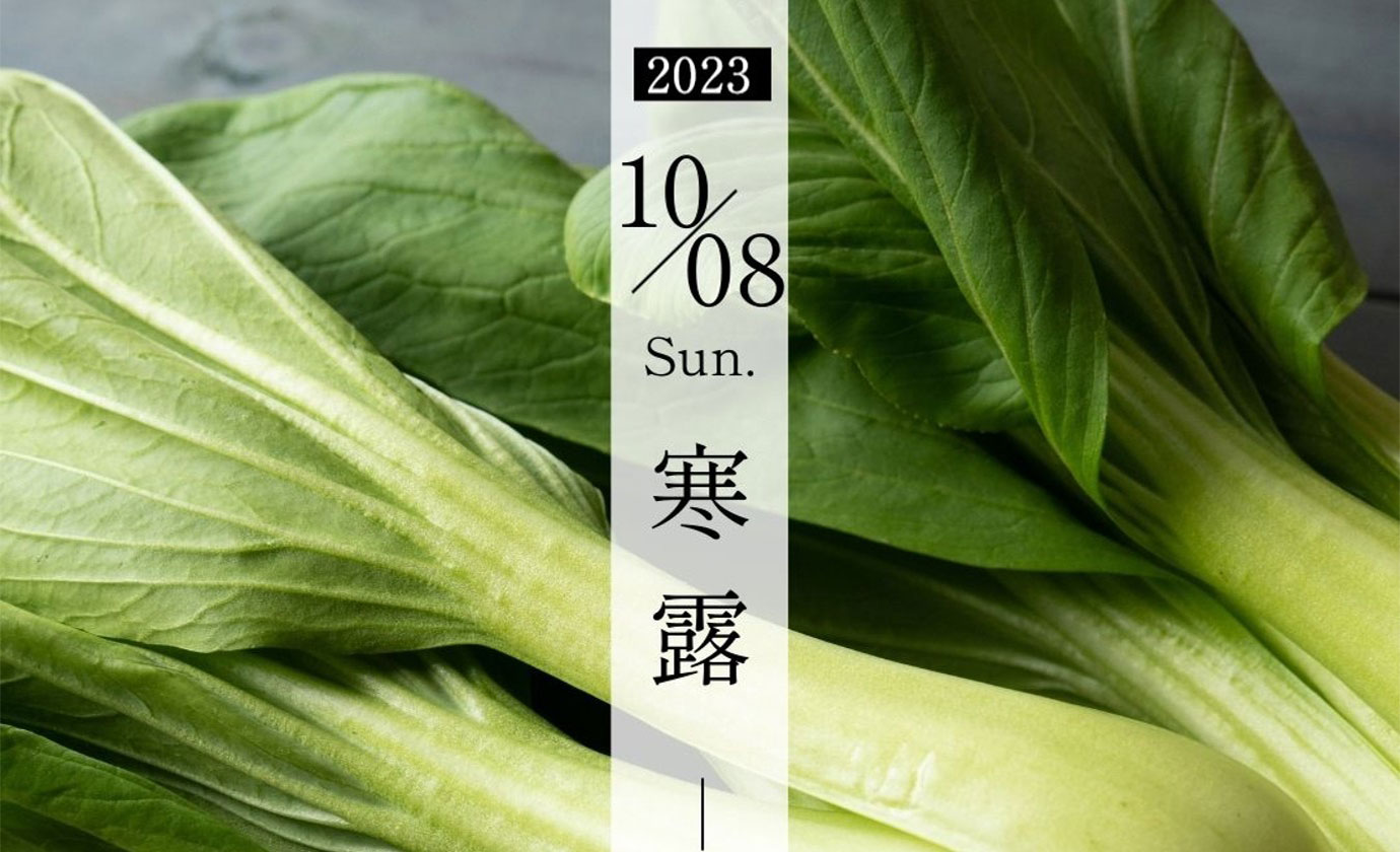 10WyIz