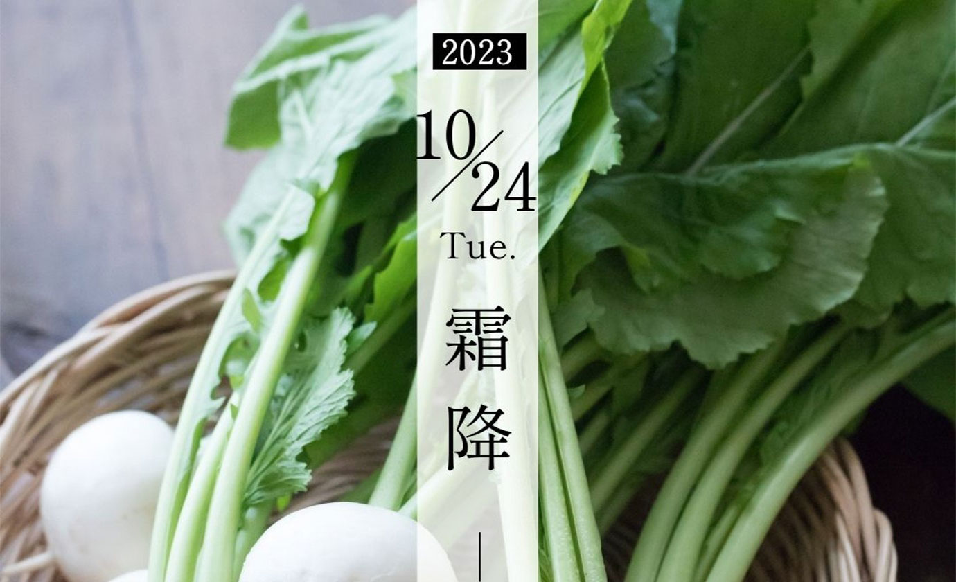 1024y~z