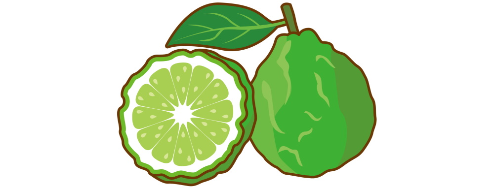 �x���K���b�g