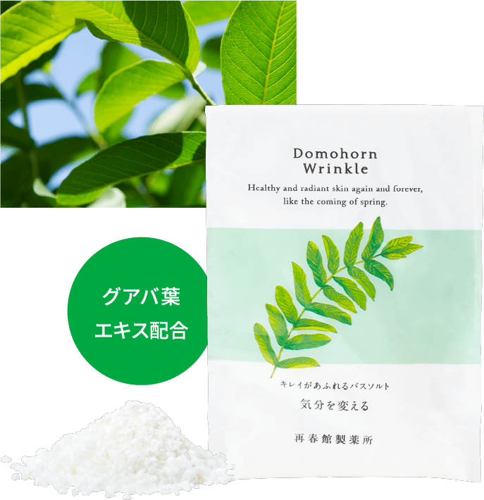 期間限定 キレイがあふれるバスソルト を12ポイントで進呈 基礎化粧品ドモホルンリンクル