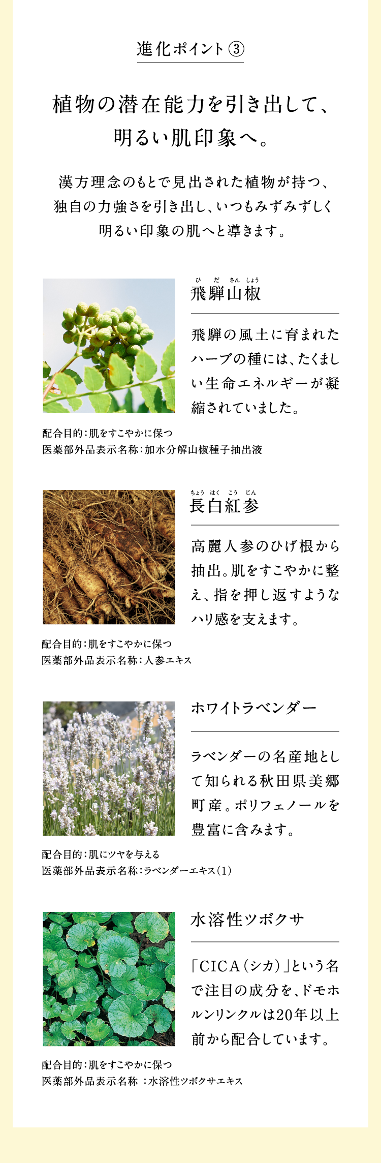 �i���|�C���g�B �A���̐��ݔ\�͂������o���āA���邢����ۂցB�������O�̂��ƂŌ��o���ꂽ�A�������A�Ǝ��̗͋����������o���A�����݂��݂��������邢��ۂ̔��ւƓ����܂��B