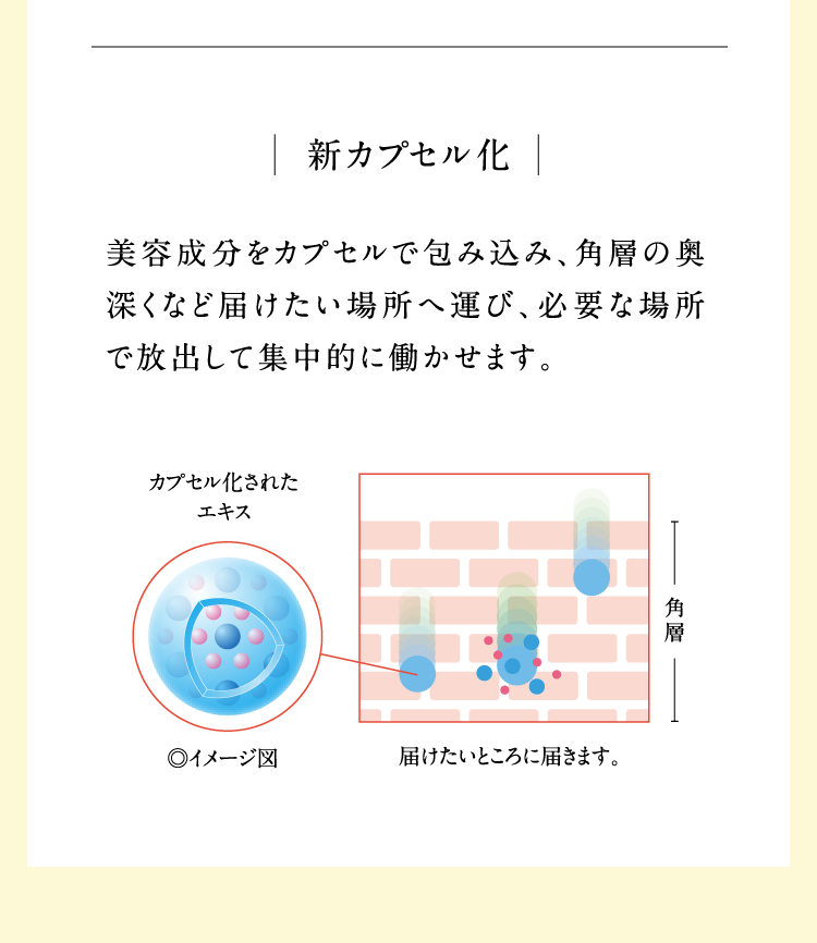 �V�J�v�Z�����ƓƎ��̐����̐���